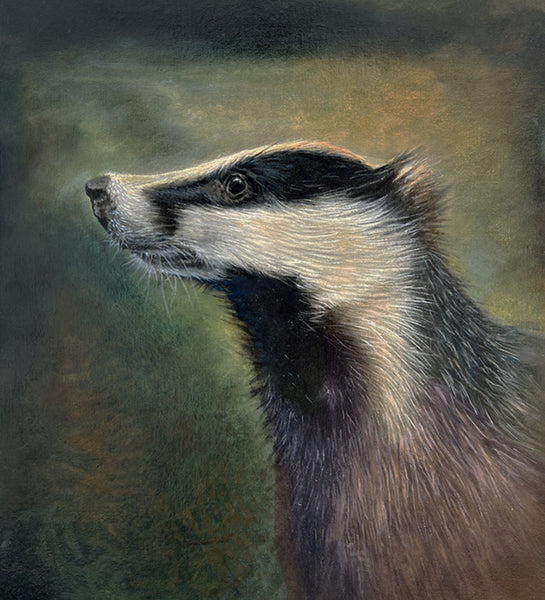 Badger