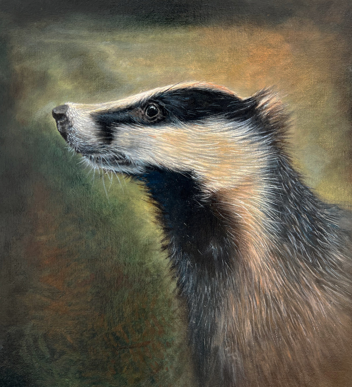 Badger