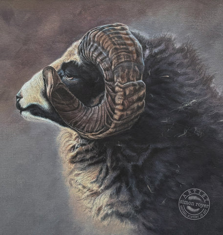 Jacobs Ram