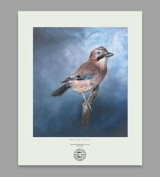 Eurasian Jay