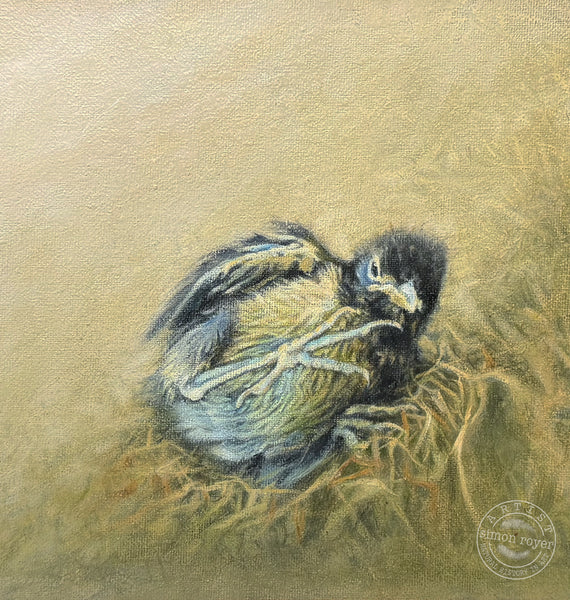 Out of the Nest