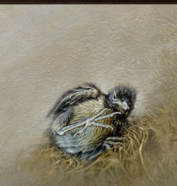 Out of the Nest