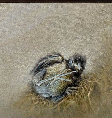 Out of the Nest