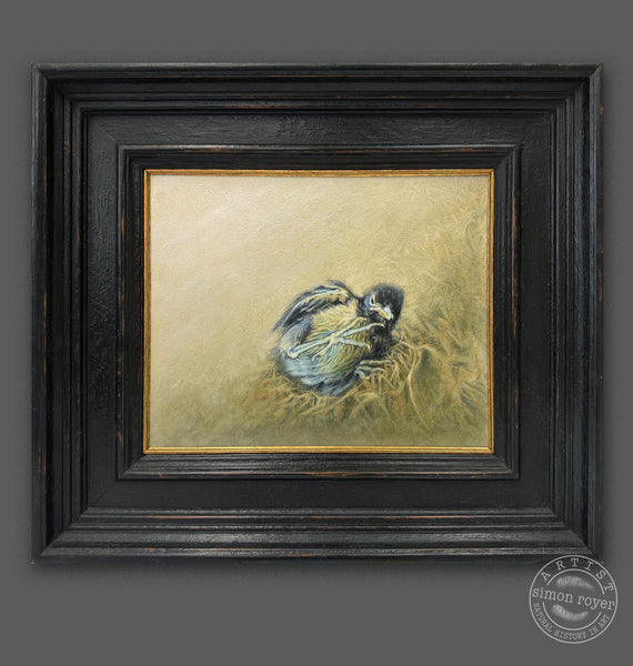 Out of the Nest