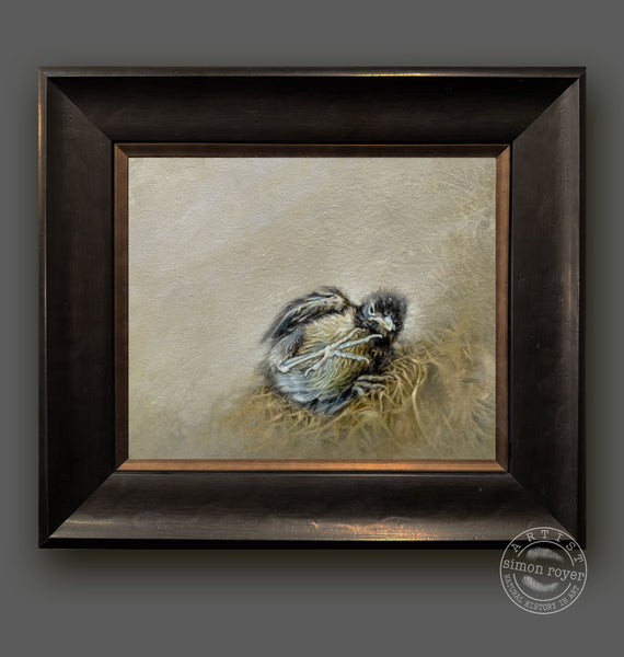 Out of the Nest