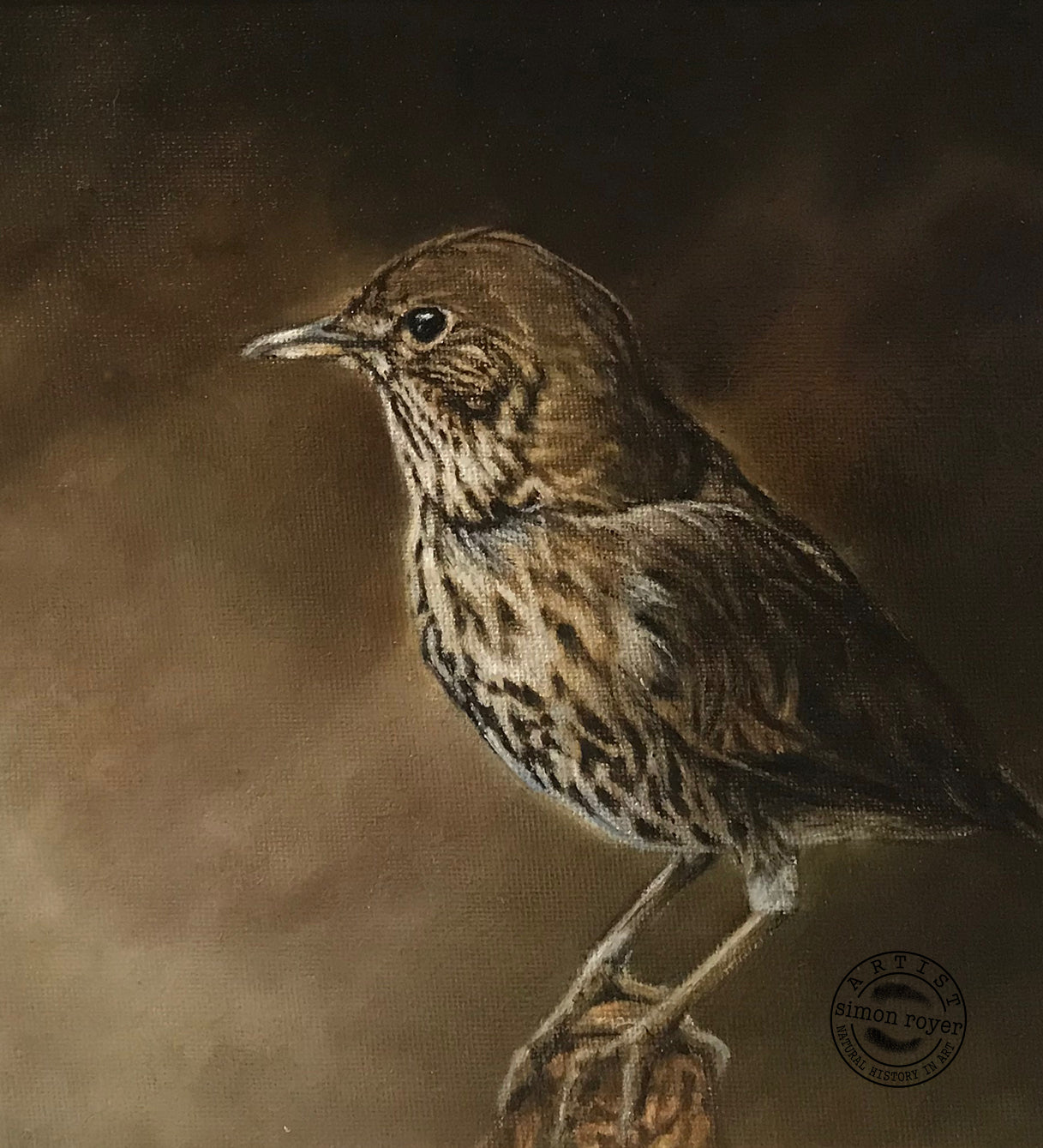 Song Thrush