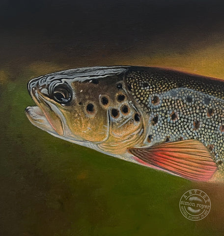 Brown Trout