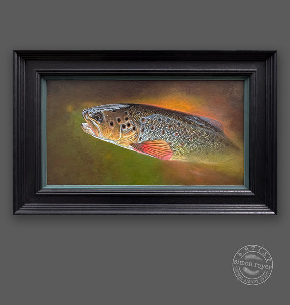 Brown Trout