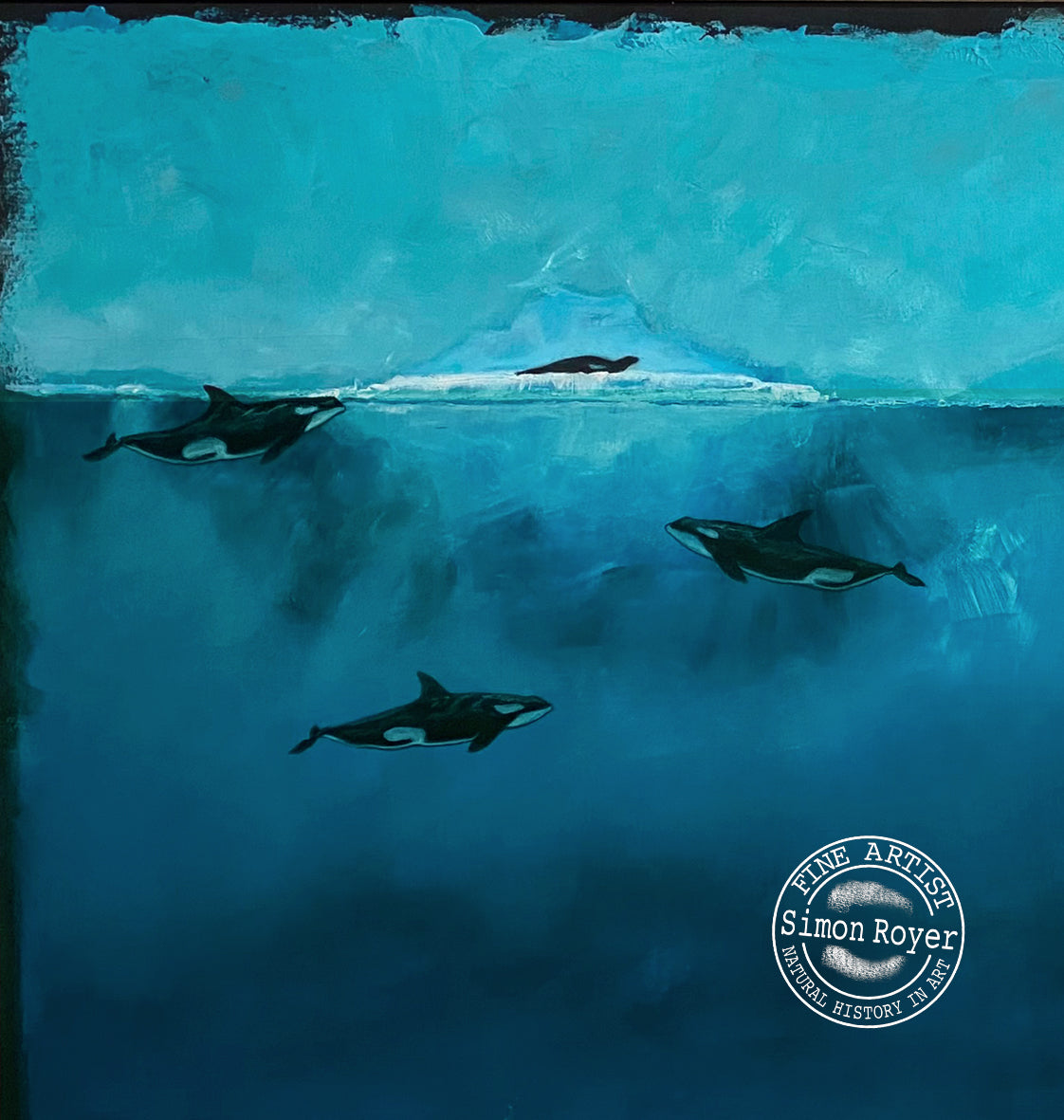 Arctic Orcas and Seals