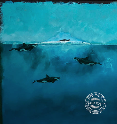 Arctic Orcas and Seals