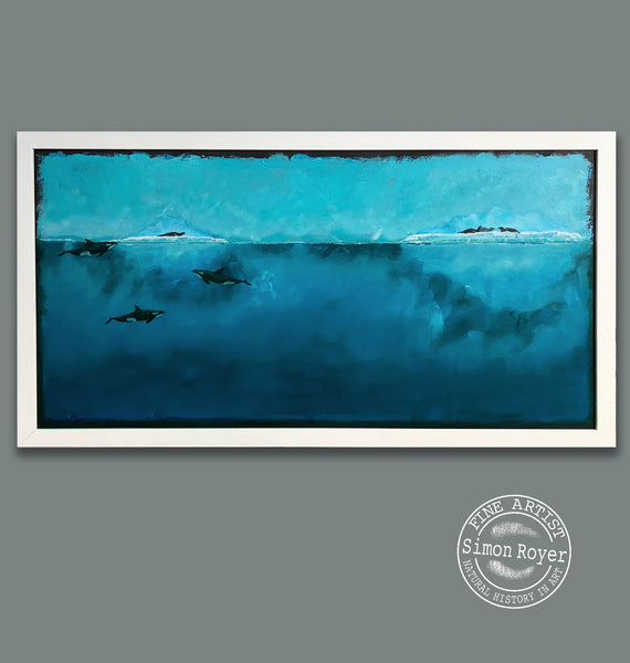 Arctic Orcas and Seals