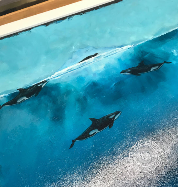 Arctic Orcas and Seals