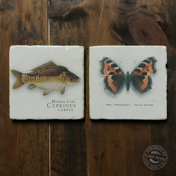 'A pair of Carp and Tortoiseshell Butterfly Tumbled Marble Coasters by simon royer.'