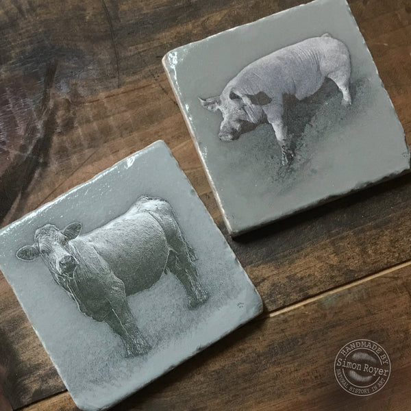'Farm Tumbled Marble Coasters with Welsh Sow and Charolais Cow by simon royer.'