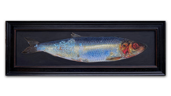 Herring