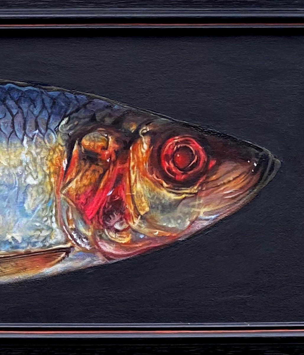 Herring