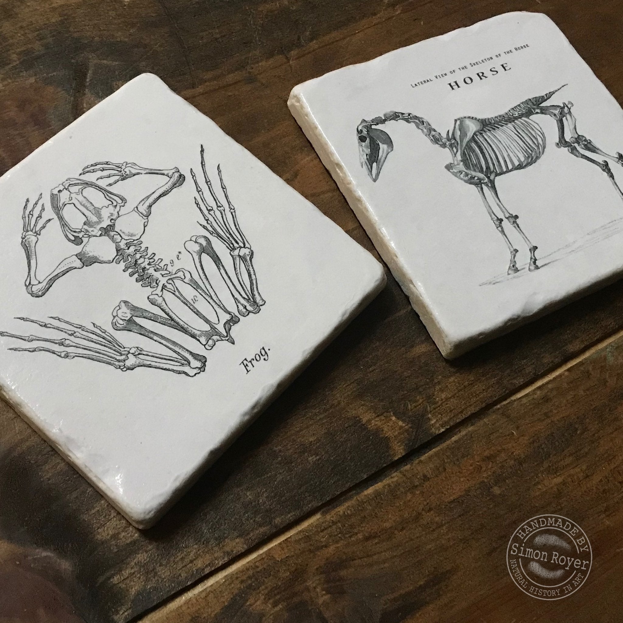 'Frog & Horse Archive Tumbled Marble Coasters by simon royer.'