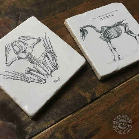 'Frog & Horse Archive Tumbled Marble Coasters by simon royer.'