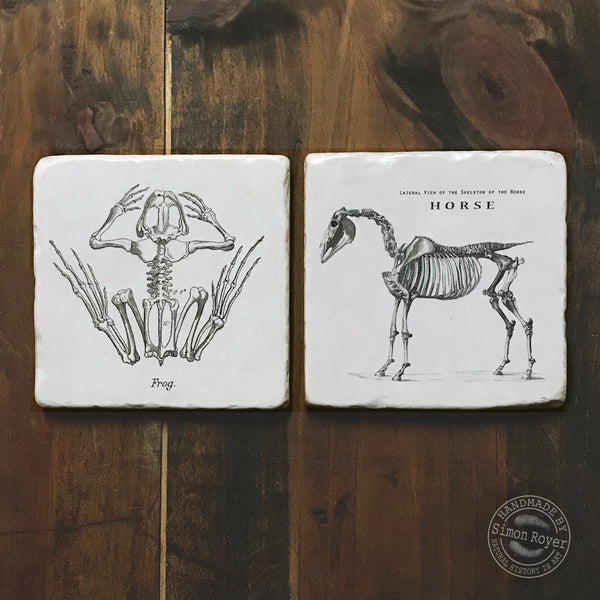 'Frog & Horse Archive Tumbled Marble Coasters by simon royer.'
