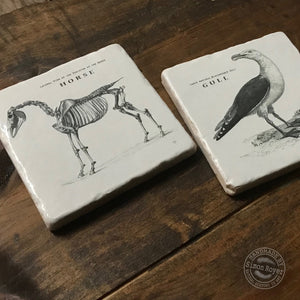 'Horse & Gull Archive Tumbled Marble Coasters simon royer.'