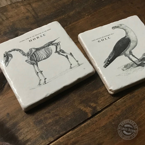 'Horse & Gull Archive Tumbled Marble Coasters simon royer.'