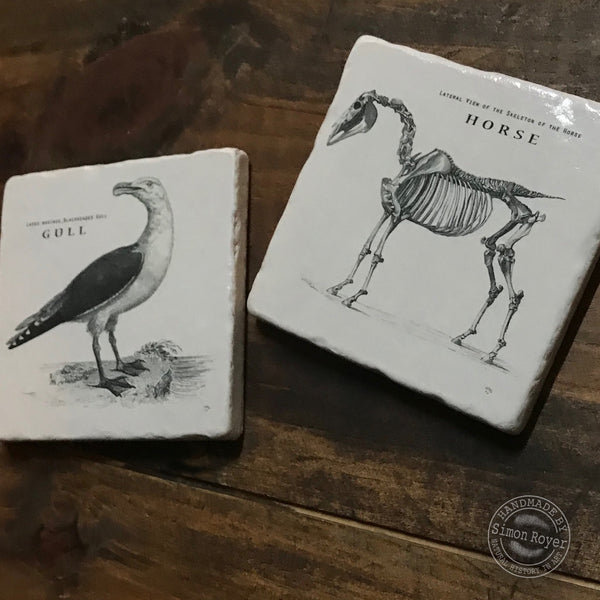 'Horse & Gull Archive Tumbled Marble Coasters simon royer.'