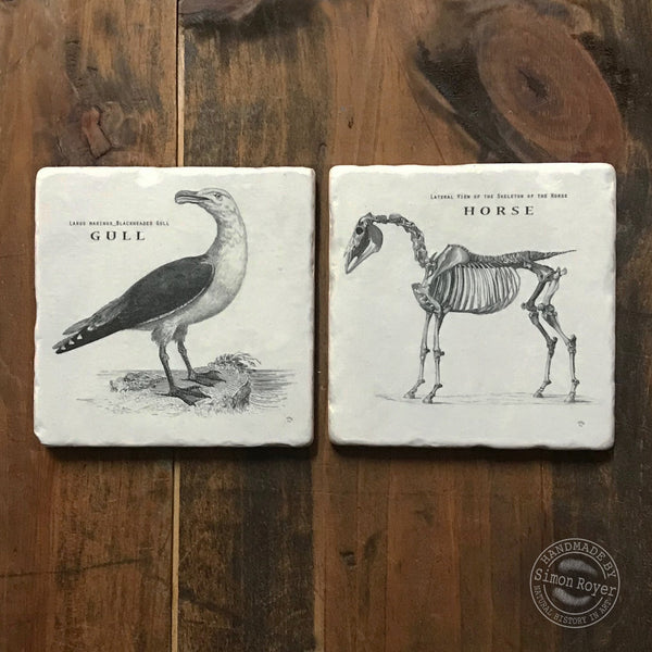 'Horse & Gull Archive Tumbled Marble Coasters simon royer.'