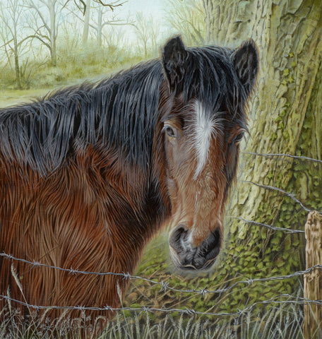 'Horse with Sparrow and a Tortoiseshell Butterfly in a field acrylic painting"