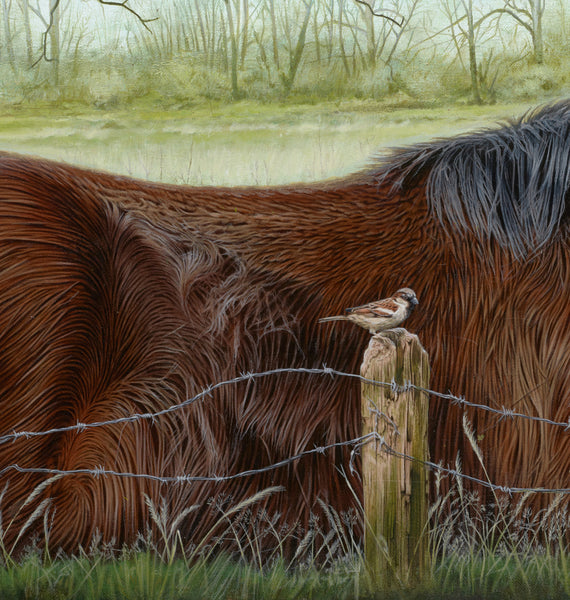 'Horse with Sparrow and a Tortoiseshell Butterfly in a field acrylic painting"