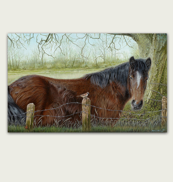 'Horse with Sparrow and a Tortoiseshell Butterfly in a field acrylic painting"
