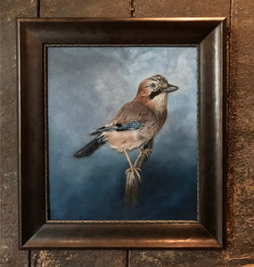 Eurasian Jay