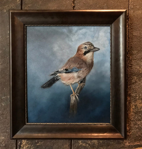 Eurasian Jay