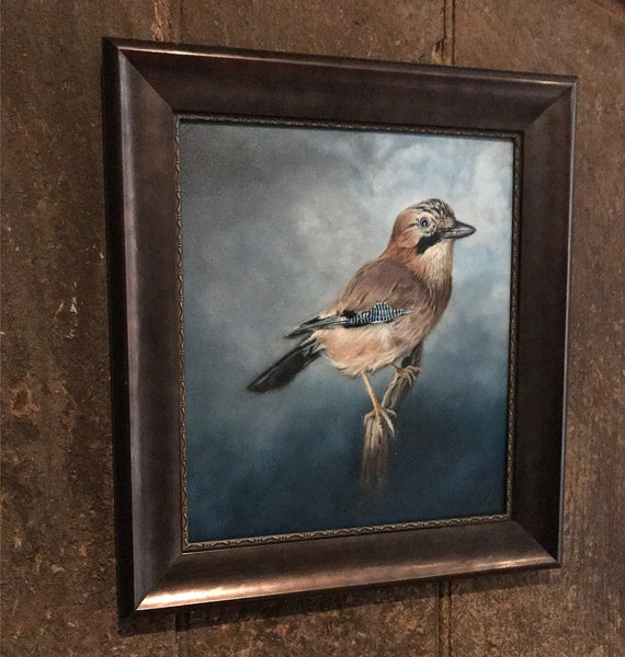 Eurasian Jay