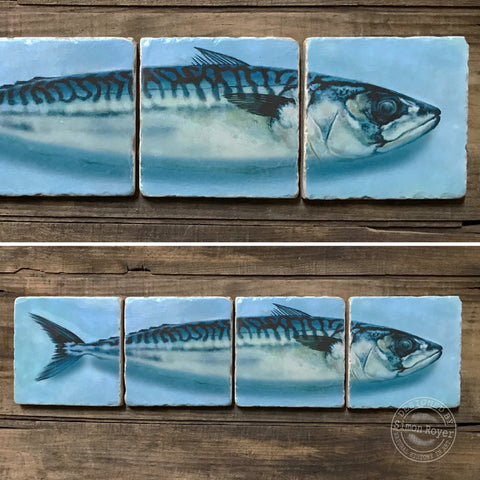 'Split Mackerel  Fish Tumbled Marble Coasters by simon royer.'