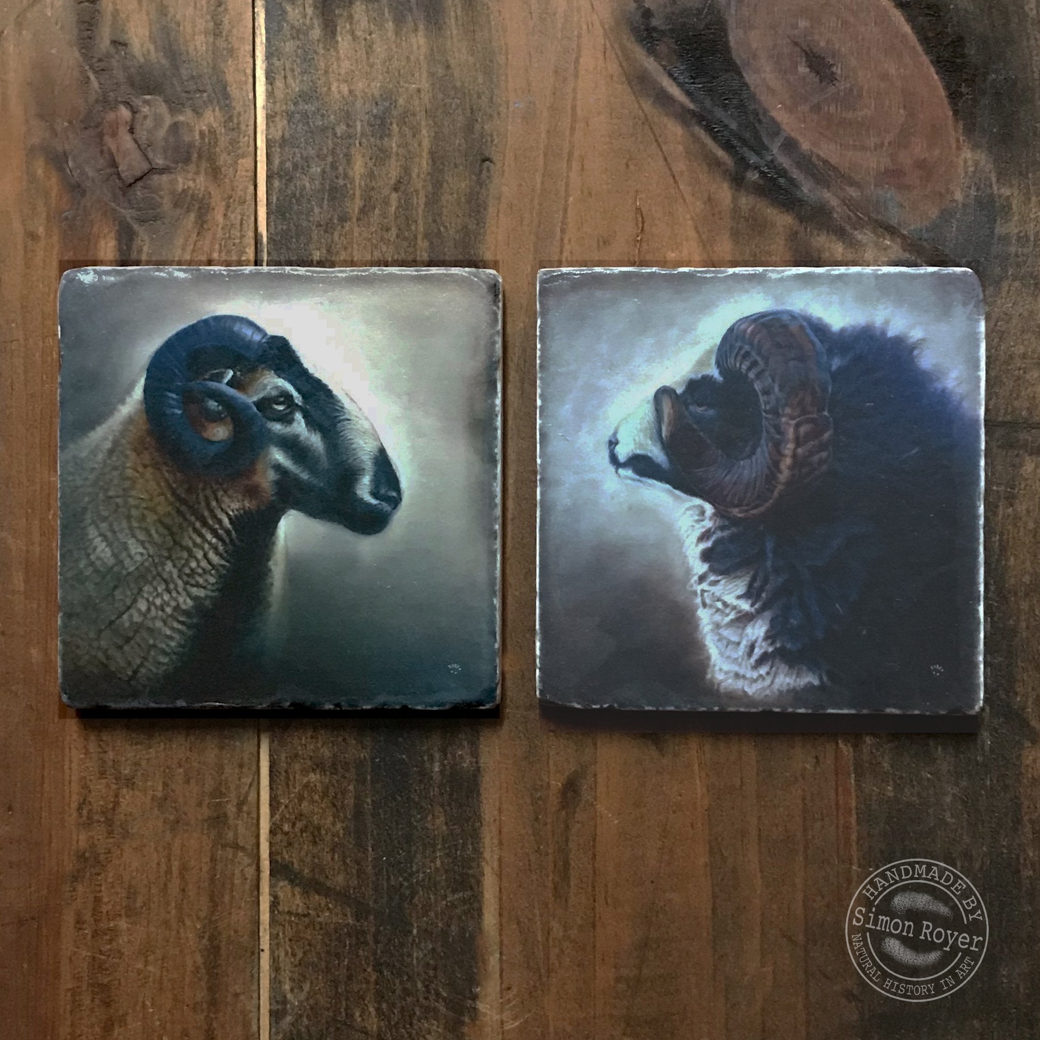 'Badger Face and Jacob Ram Tumbled Coaster Pair by simon royer.'