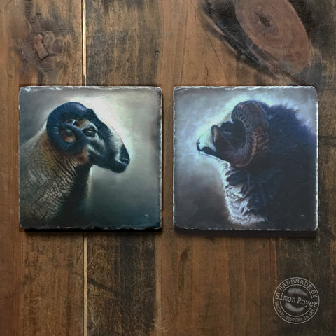 'Badger Face and Jacob Ram Tumbled Coaster Pair by simon royer.'