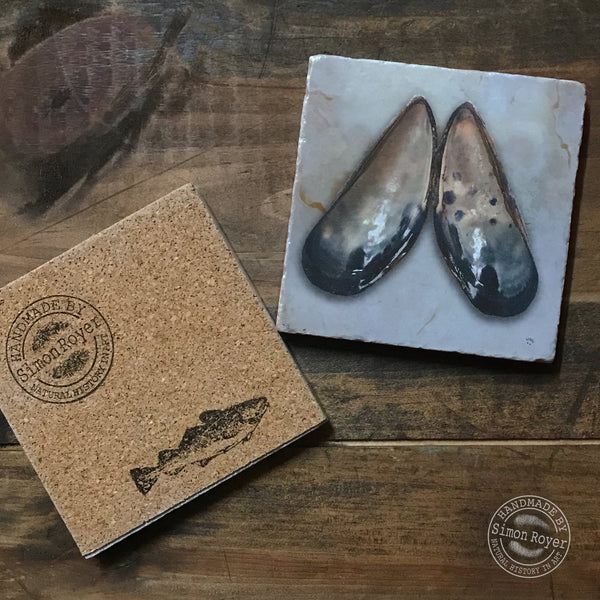 'Otter Shell & Mussel Shell Coaster Pair by simon royer.'
