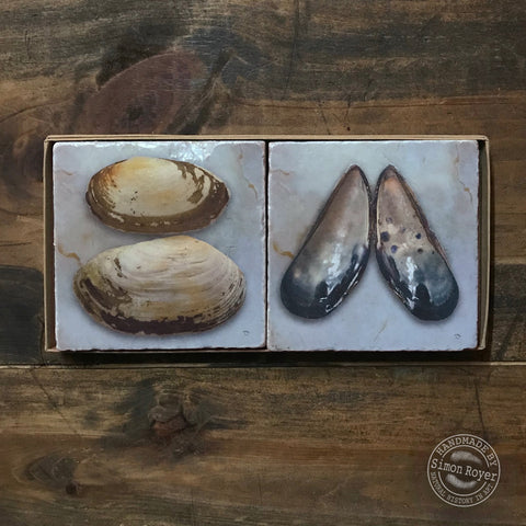 'Otter Shell & Mussel Shell Coaster Pair by simon royer.'
