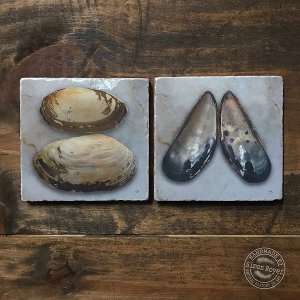 'Otter Shell & Mussel Shell Coaster Pair by simon royer.'