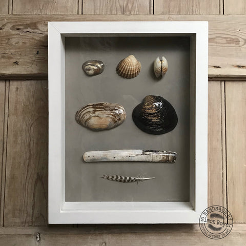 'Framed Coastal Seashells of Swansea Bay Beach by simon royer.'