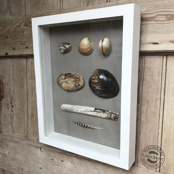 'Framed Coastal Seashells of Swansea Bay Beach by simon royer.'
