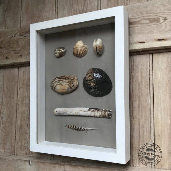 'Framed Coastal Seashells of Swansea Bay Beach by simon royer.'
