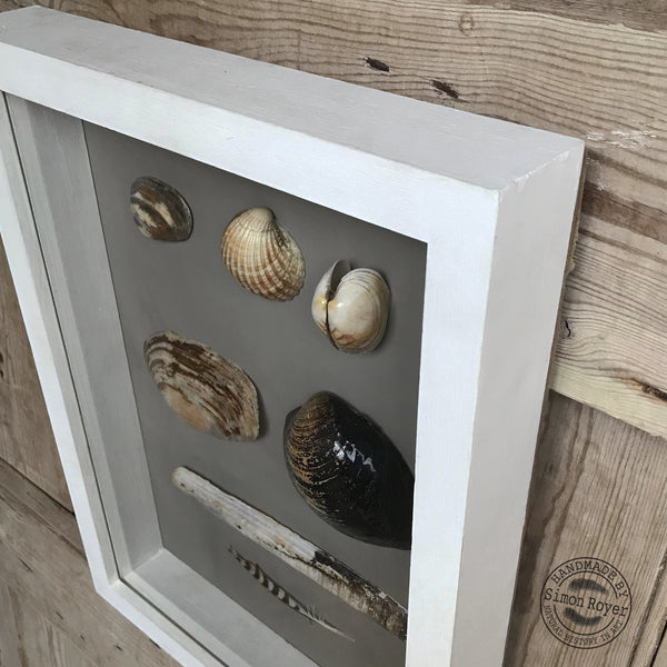 'Framed Coastal Seashells of Swansea Bay Beach by simon royer.'
