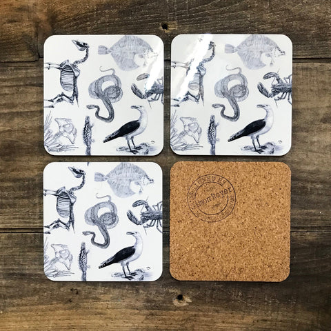 'Set of 4 cork backed wooden archive natural history coasters.'