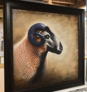 Badgerface Ram