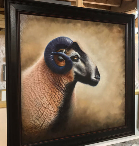 Badgerface Ram