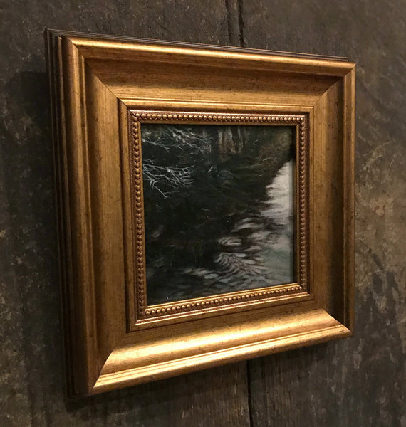 Framed oil painting of a coot on the edge of a river by artist simon royer.