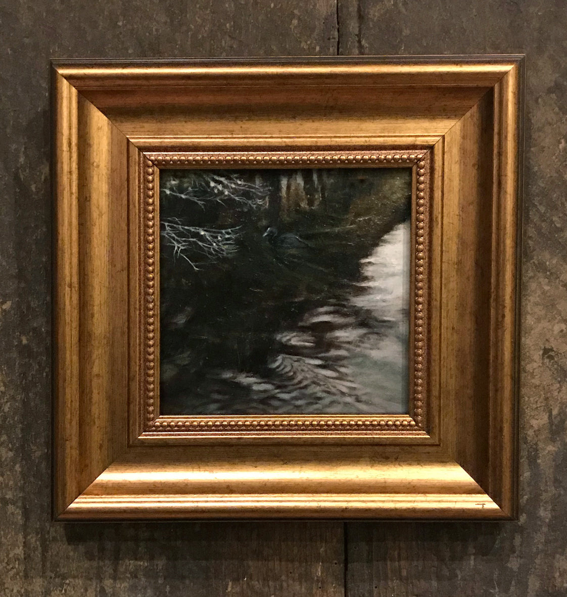 Oil painting of a coot on the edge of a river by artist simon royer.