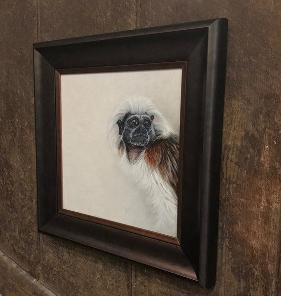 Cotton Top Tamarin