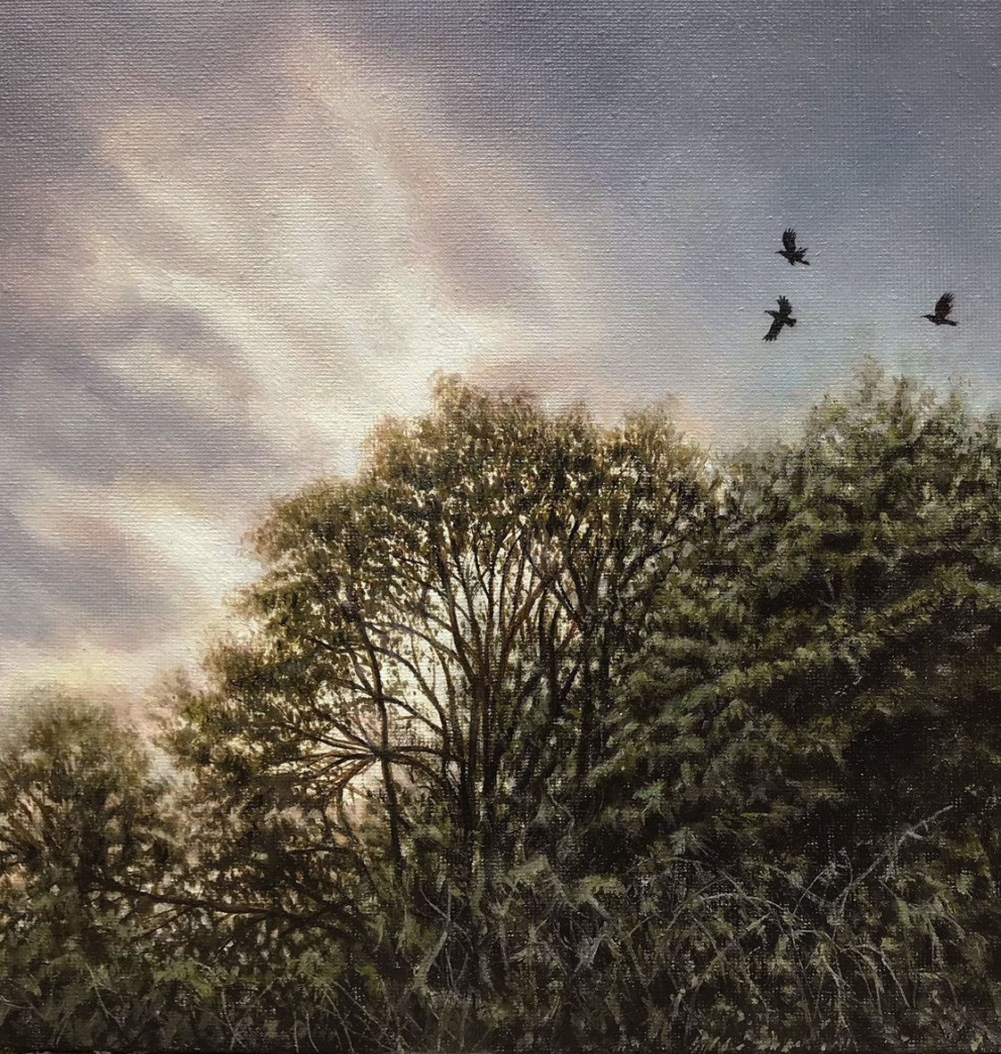 Oil painting of Crows above the trees by artist simon royer.
